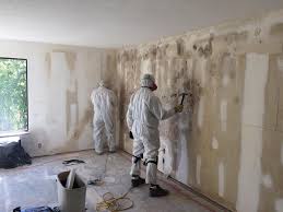 Biohazard Mold Removal in South Whittier, CA